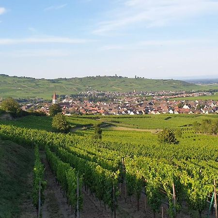 Gite Des Seigneurs Ammerschwihr Exterior foto